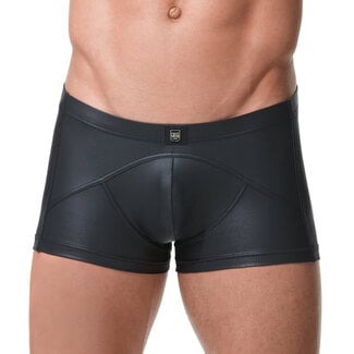 Gregg Homme Gregg Homme Crave boxer brief