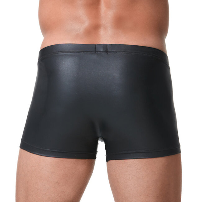 Gregg Homme Crave boxer brief