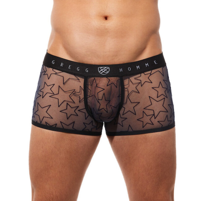 Gregg Homme Starr boxer brief