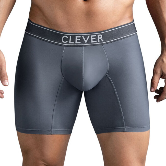 Clever<br />
  masculine boxershort