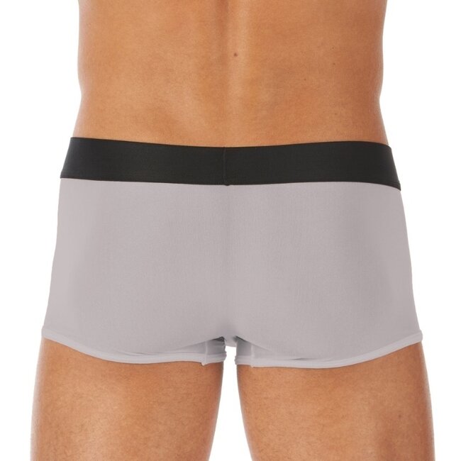 Gregg Homme Torridz boxer