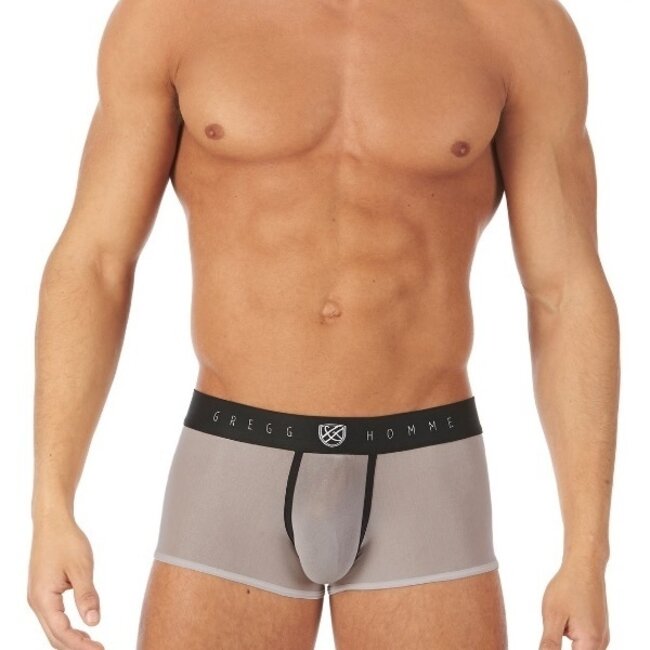 Gregg Homme Torridz boxer