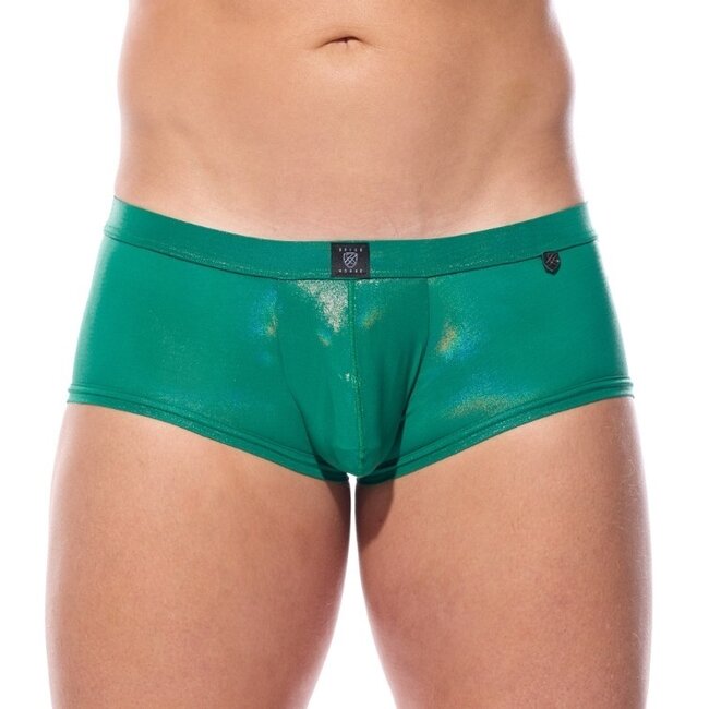 Gregg Homme Boytoy voltz boxer