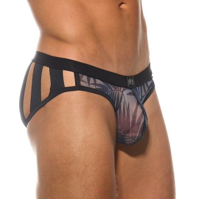 Gregg Homme Outline brief