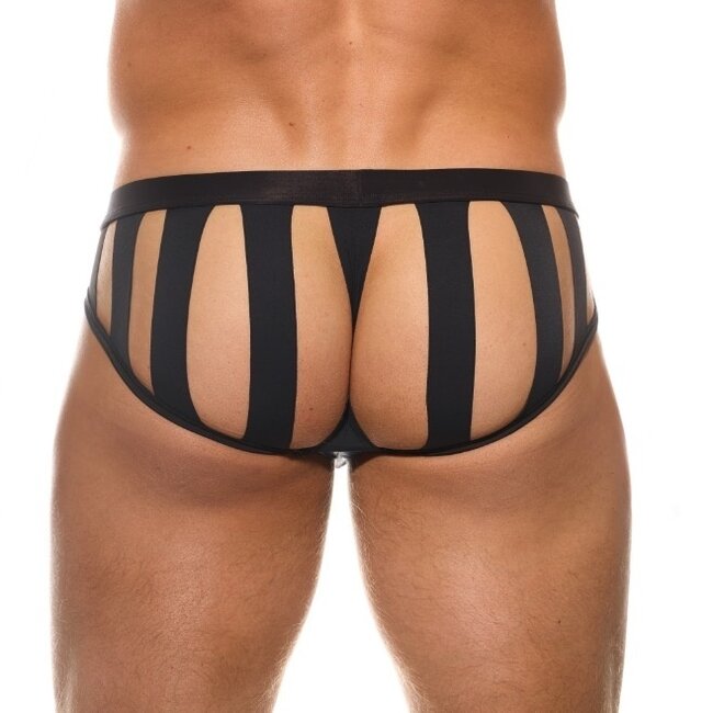 Gregg Homme Outline brief