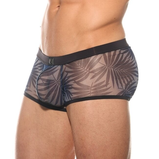 Gregg Homme Outline boxer