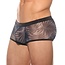 Gregg Homme Outline boxer