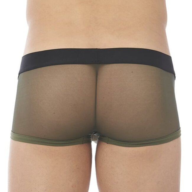 Gregg Homme Erupt boxer brief