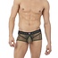 Gregg Homme Erupt boxer brief