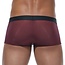 Gregg Homme Torridz trunk
