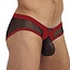 Gregg Homme X-rated maximiser brief