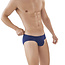 Clever clever latin brief