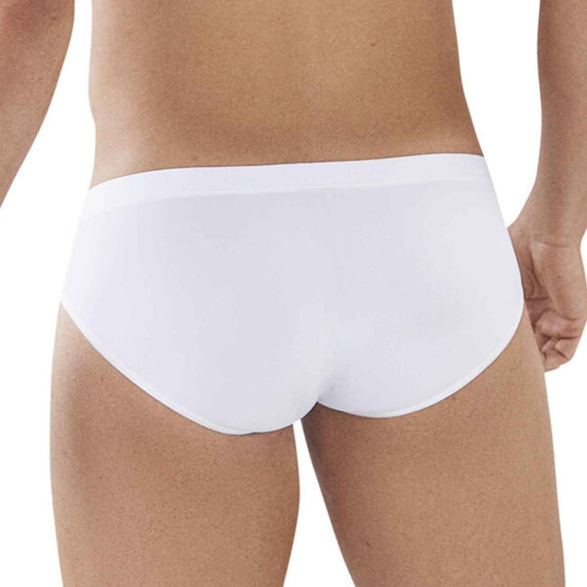 Clever clever latin brief