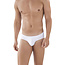 Clever clever latin brief