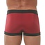 Gregg Homme Room-Max Boxer Brief