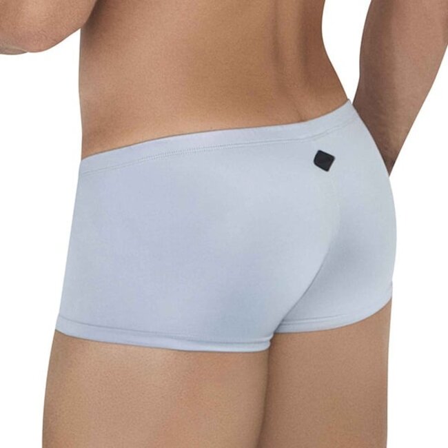 Clever Glacier latin boxershort