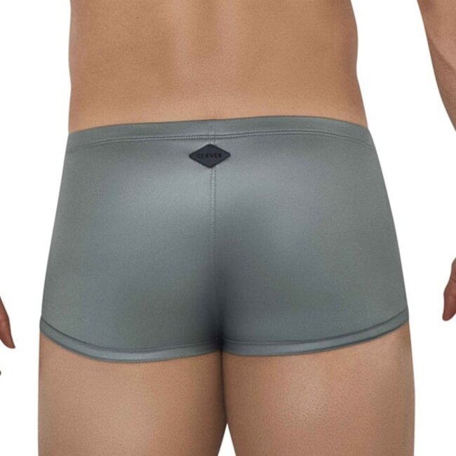 Clever Glacier latin boxershort