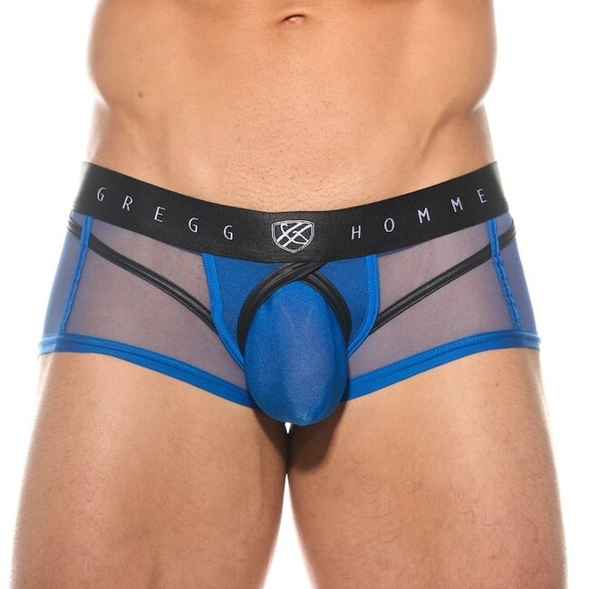 Gregg Homme Erupt  boxer brief