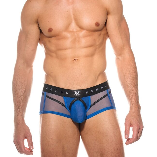 Gregg Homme Erupt  boxer brief