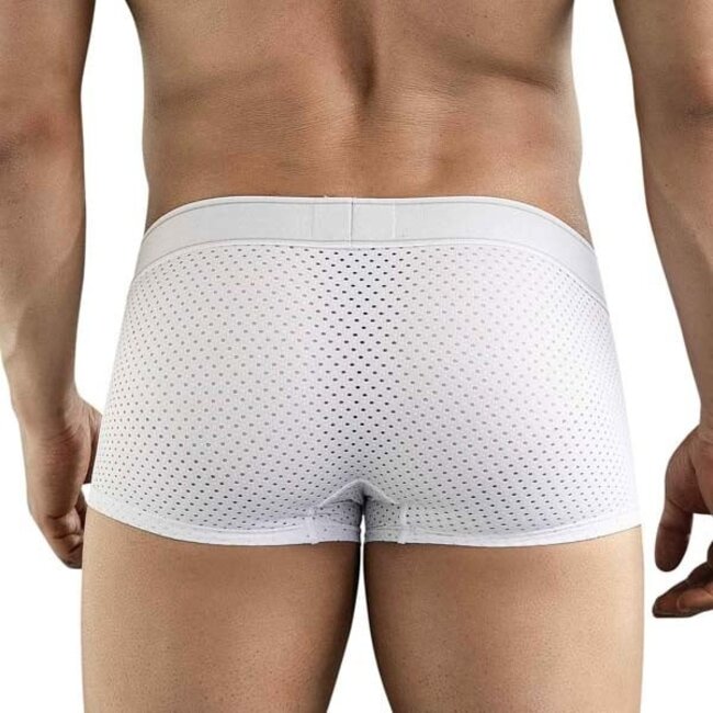 Clever ambar boxers