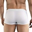 Clever ambar boxers