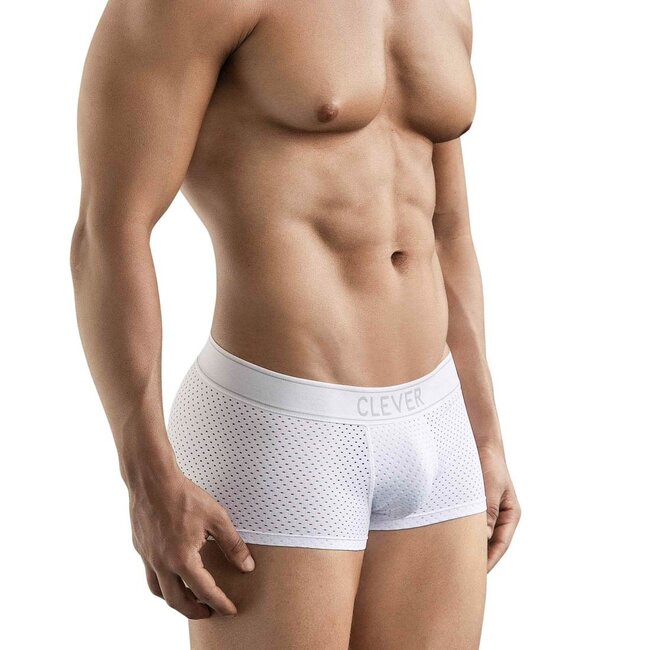 Clever ambar boxers