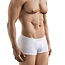 Clever ambar boxers