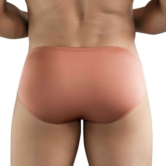 Clever celestial brief