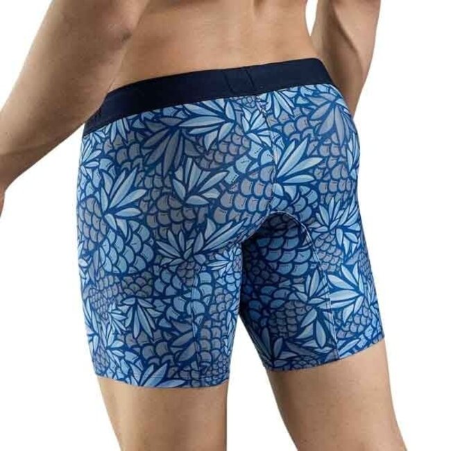 Clever pineapple long boxers