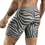 Clever cebra long boxershort