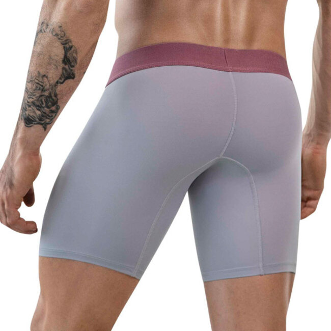 clever audaz long boxers
