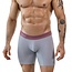 clever audaz long boxers