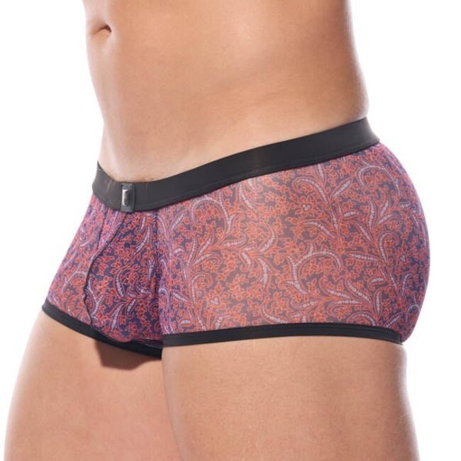 Gregg Homme Outline boxershort