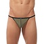 Gregg Homme Torridz herenstring