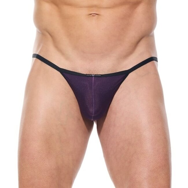Gregg Homme Torridz herenstring