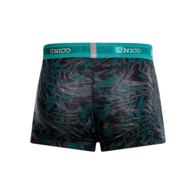 Mundo unico rizosfera boxers