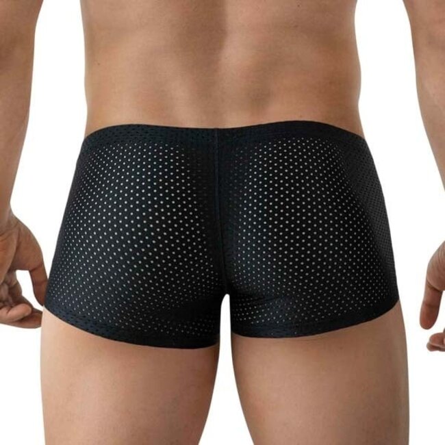 Clever clay latin boxers
