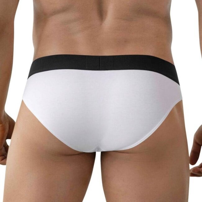 Clever origen brief