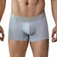 Clever valladolid boxers