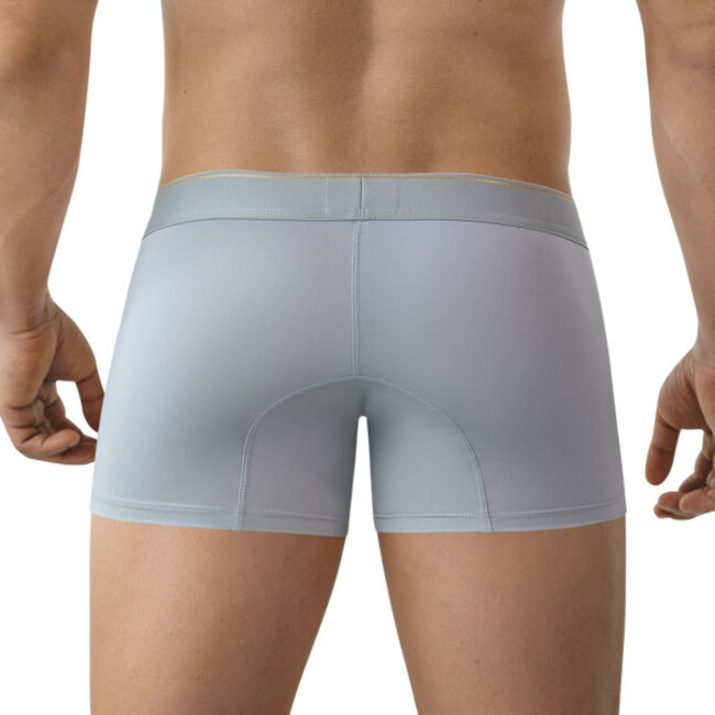 Clever valladolid boxers