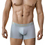 Clever valladolid boxers