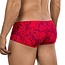 Clever helion latin boxershort