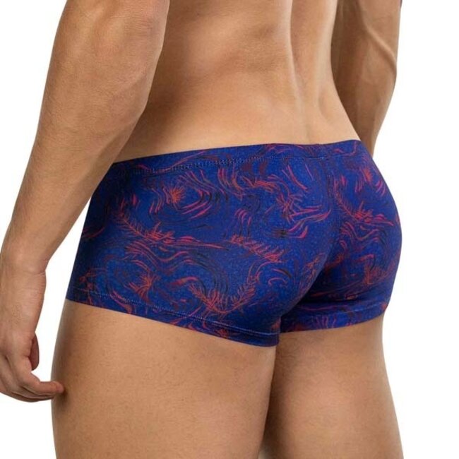 Clever helion latin boxershort