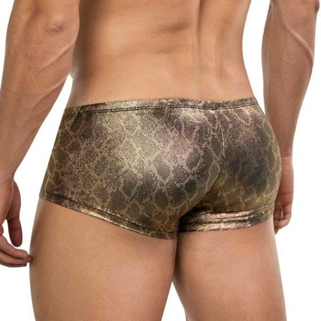 Clever atlas latin boxershort