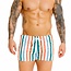 Jor Fiji zwemshort