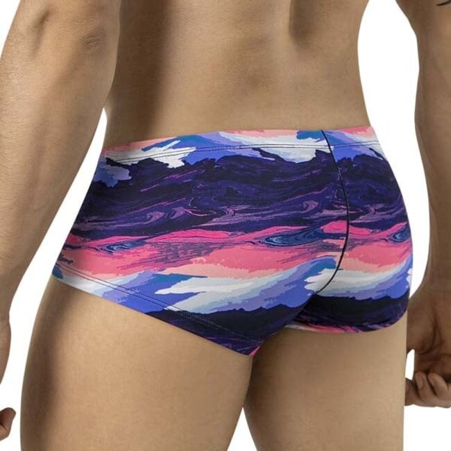 Clever desert latin boxershort