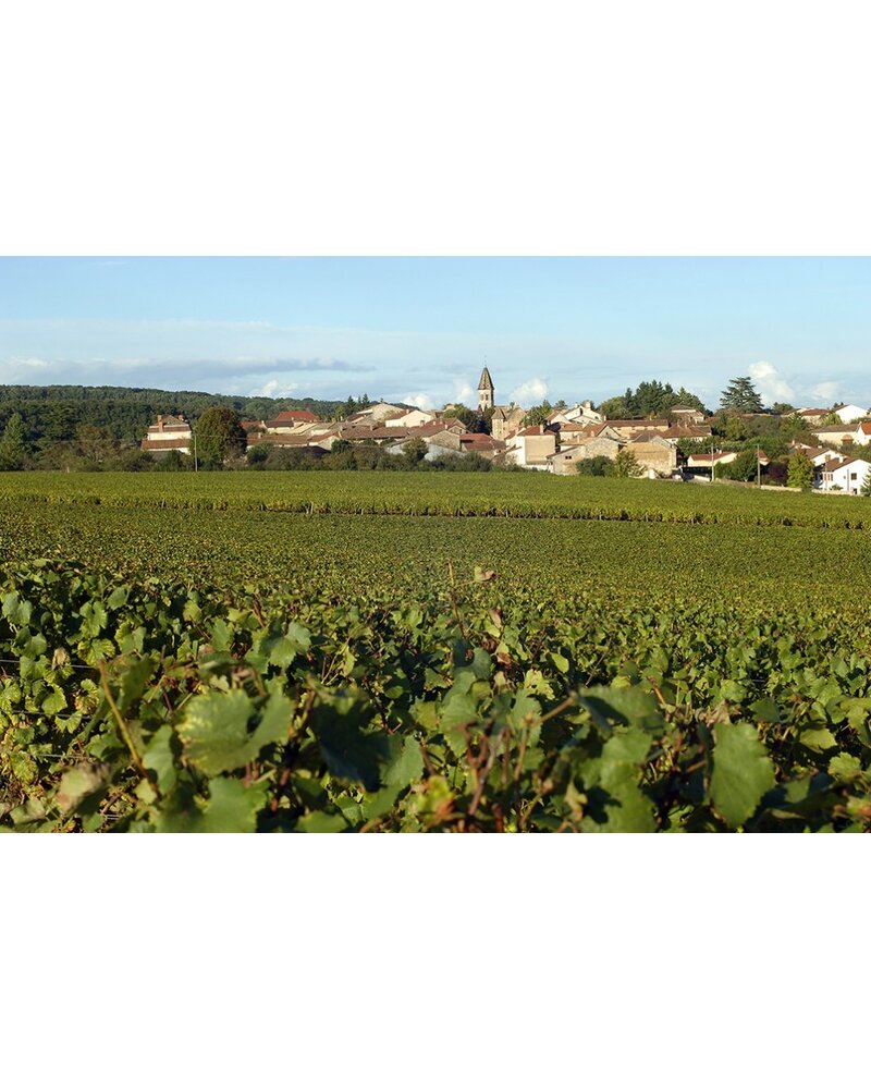 Domaine des Gandines 'Bourgogne Rouge 'Les Frangins' 2022