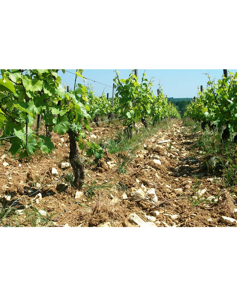 Domaine des Gandines 'Viré - Clessé Terroir de Clessé' 2022