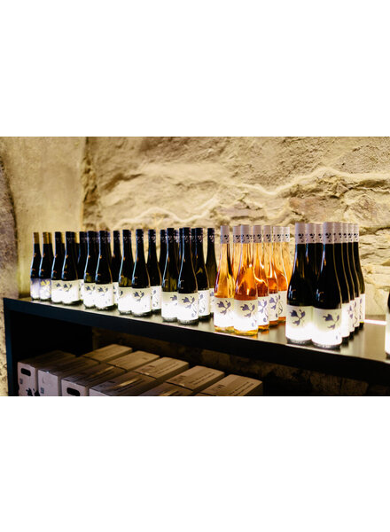 Lesehof Stagard - Urban Grüner veltliner 2022