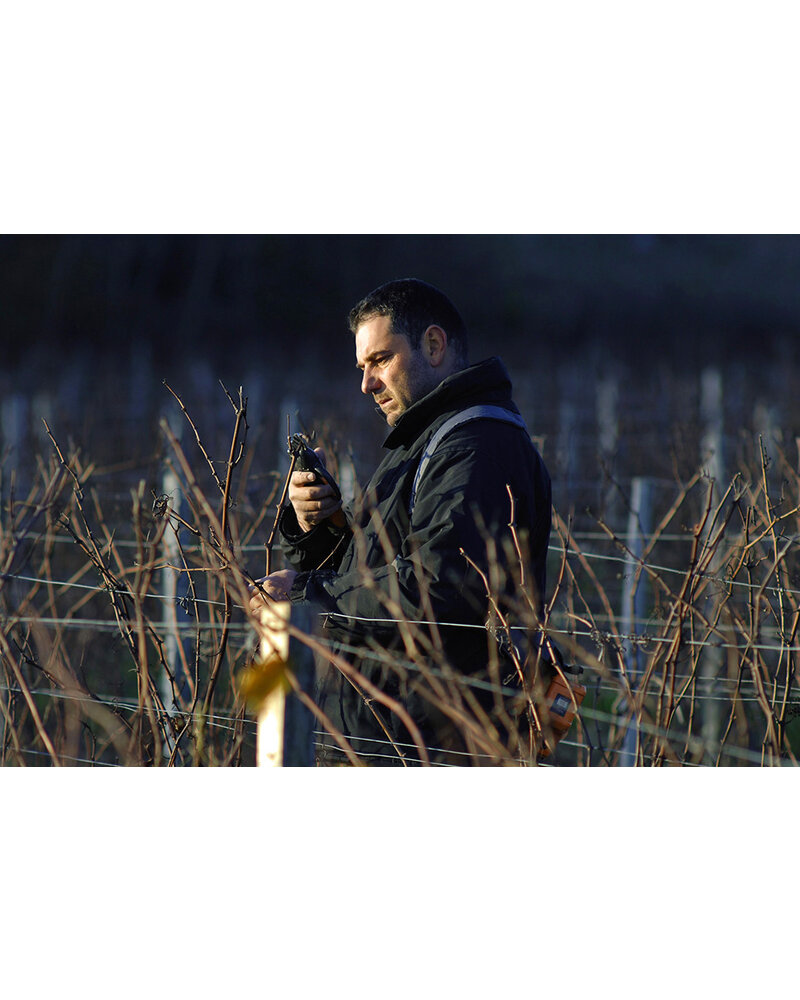 Domaine des Gandines Macon Villages 2023